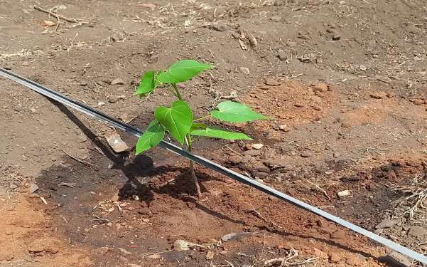 சுற்றுச்சூழல் & வனவிலங்கு பாதுகாப்பு